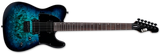 ESP Guitars - Guitare électrique LTD TE-200DX - Blue Burst