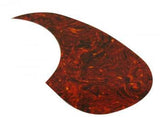 WD Music - Plaque de protection acoustique - Tortue