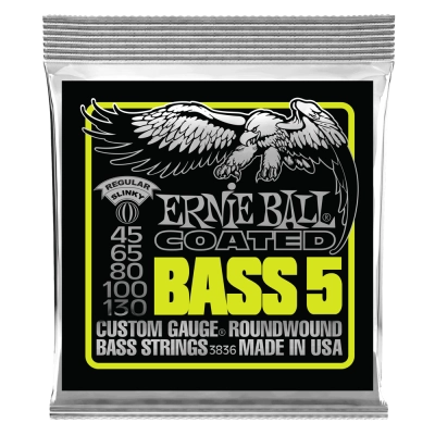 Cordes Ernie Ball Regular Slinky pour basse électrique 5 cordes, revêtement 45-130