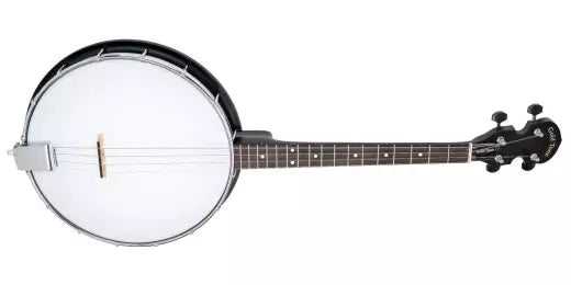 Banjo ténor irlandais ouvert à 4 cordes AC-4IT Gold Tone avec housse