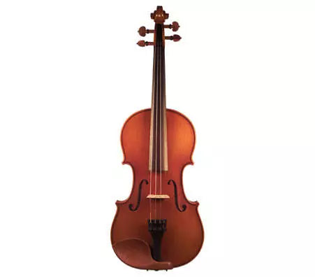 Eastman Strings - Violin Outfit - w/Carbon Bow - 4/4