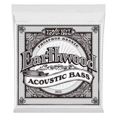 Cordes pour basse acoustique Ernie Ball Earthwood 80/20 Bronze 45-95