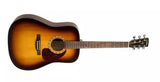 Simon et Patrick - Songsmith Dreadnought - Burst