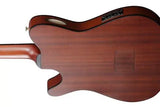 Ibanez - FRH10N Nylon String Acoustic/Electric Guitar - Natural Flat