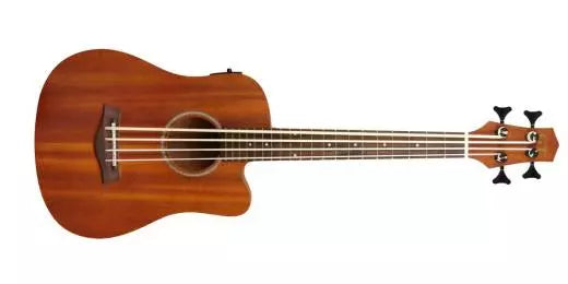 Micro basse en acajou ton or avec micro et housse