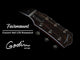 Guitares Godin - Guitare acoustique/électrique Fairmount CH LTD palissandre HG EQ avec étui rigide