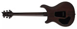 Guitare électrique PRS Guitars 114984 Limited Edition SE DGT Laurel Burl avec housse - McCarty Tobacco Burst