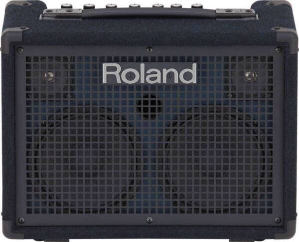 Roland KC220 30-Watt Battery Amplifier