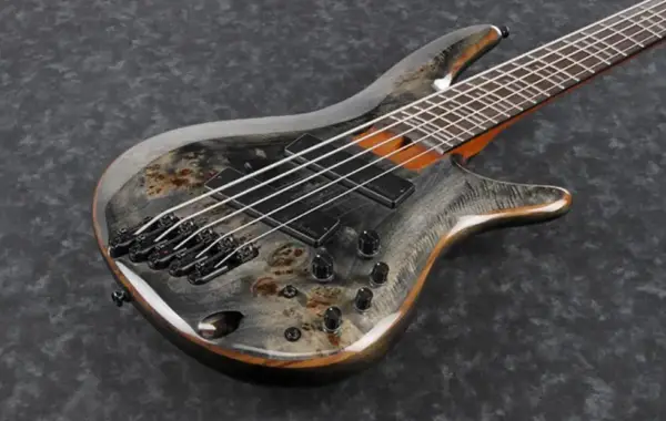 IBANEZ BASS WORKSHOP MULT ISCALE 5 CORDES SRMS805DTW